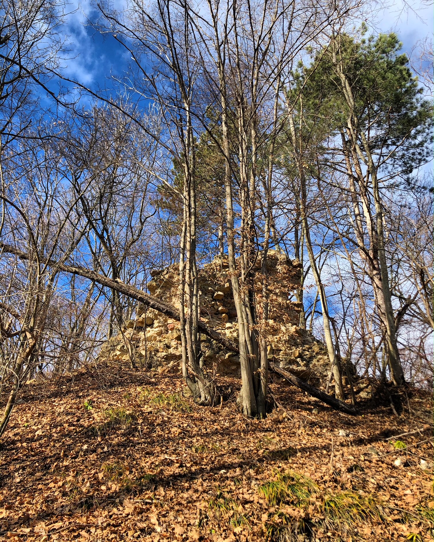 Dolacki grad2_utvrde_Pozeska gora