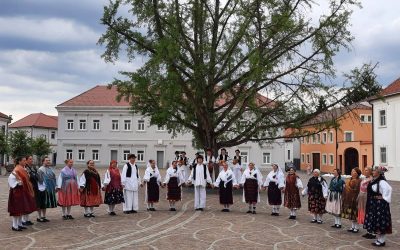 Poziv za prijavu folklornih skupina i izbor najgizdavije Šokice