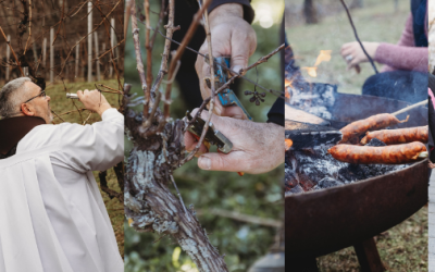 Vincelovo na Požeškoj gori